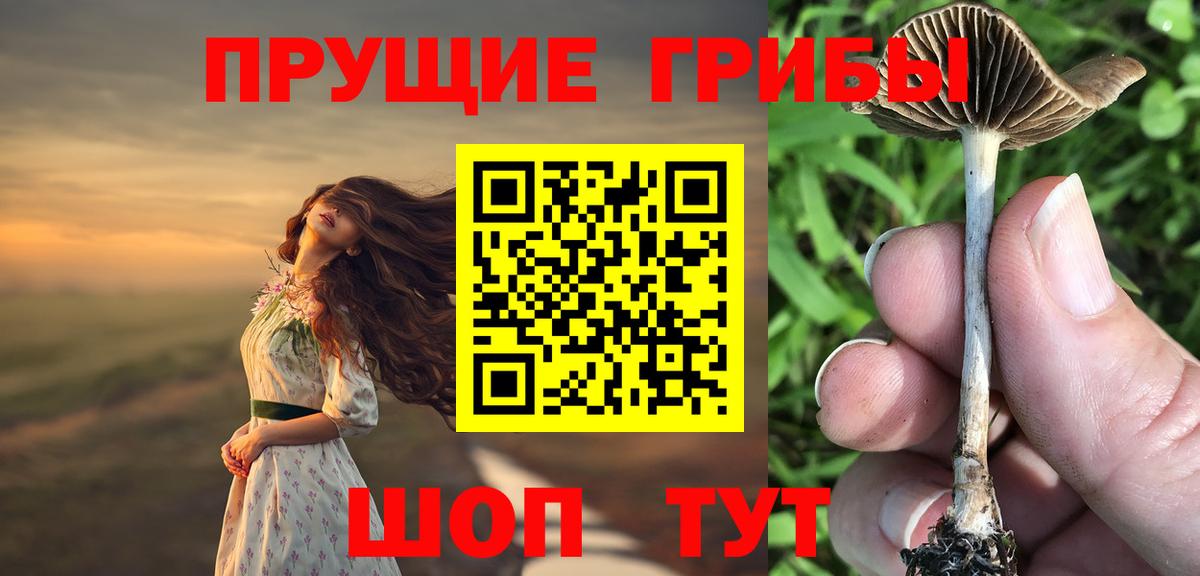 Псилоцибиновые грибы Psilocybine cubensis  как найти наркотики  Вход с VPN  Дербент  Псилоцибиновые грибы Psilocybe 