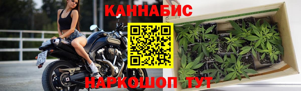 Шишки марихуана MAZAR  Вход с VPN  Дербент  МАРИХУАНА планчик  Бошки марихуана семена 